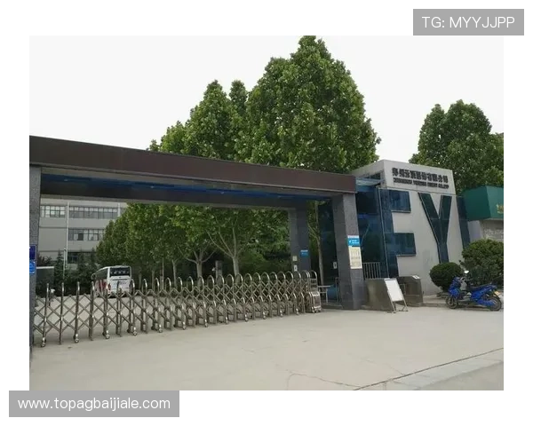 云顶集团有限公司简介：企业在国内外市场的扩展策略与合作伙伴关系